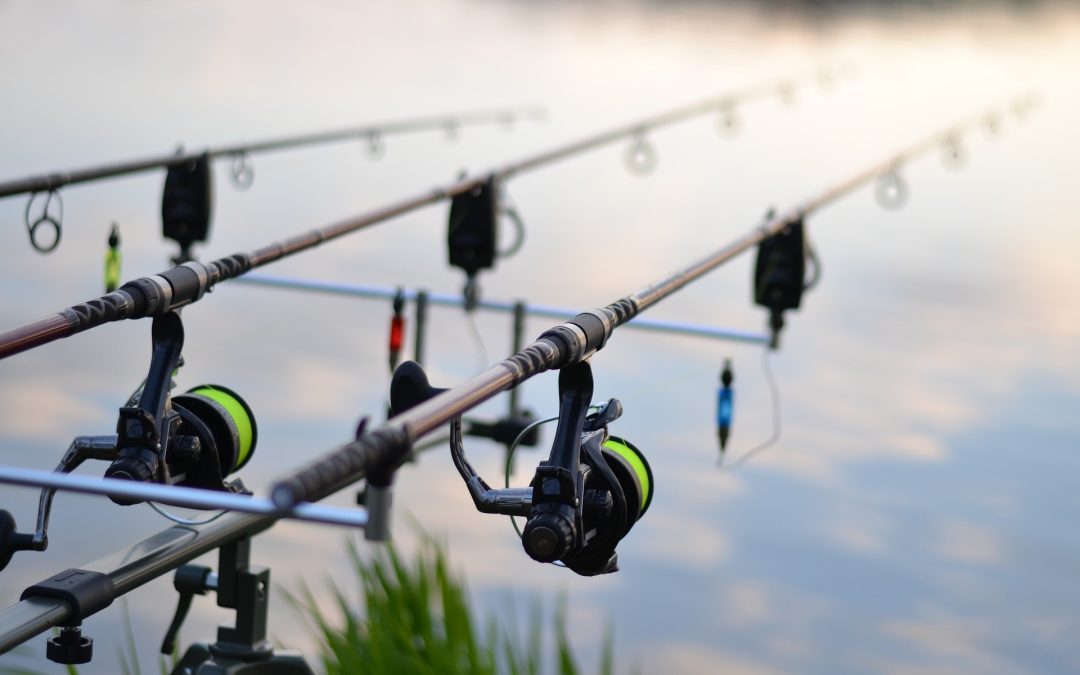 Strafanzeige von PETA gegen Angler eingestellt